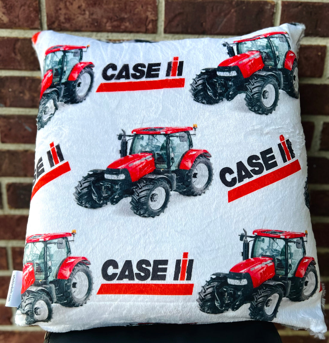 CASE pillow - with insert 20x20”