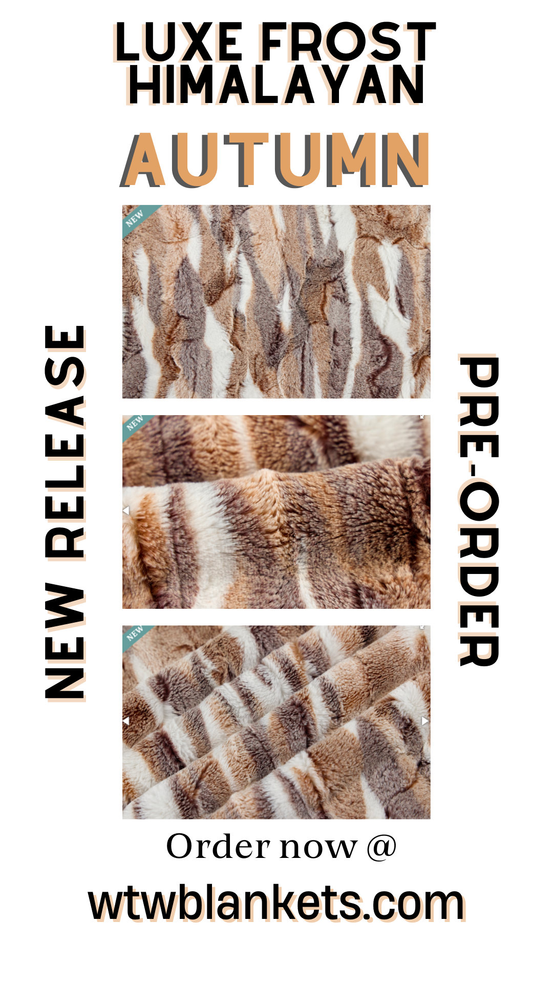 ** NEW ** Frost Himalayan - Autumn - Luxury Minky Blanket - New Release Pre-Order