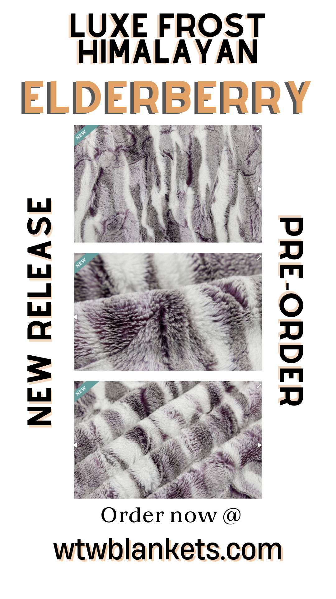 ** NEW ** Frost Himalayan - Elderberry - Luxury Minky Blanket - New Release Pre-Order