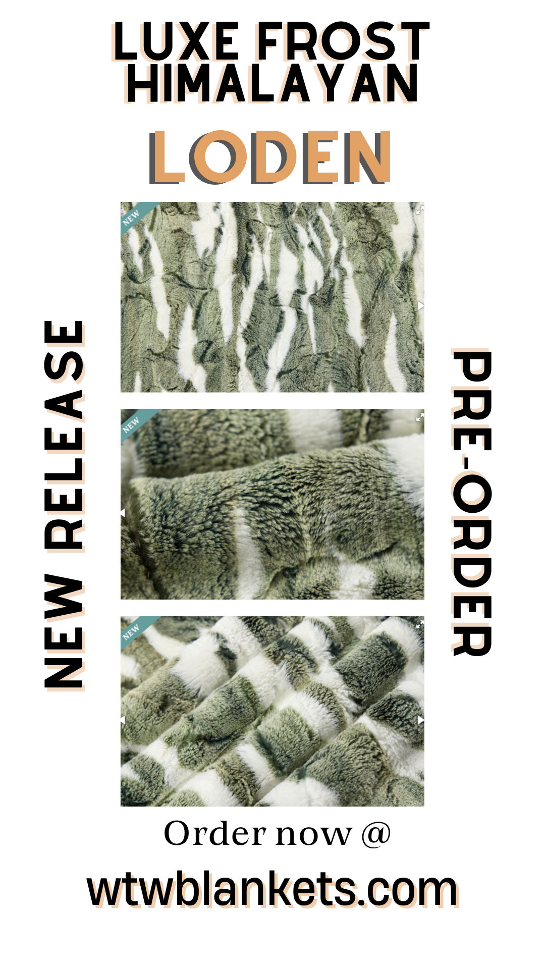 ** NEW ** Frost Himalayan - Loden - Luxury Minky Blanket - New Release Pre-Order