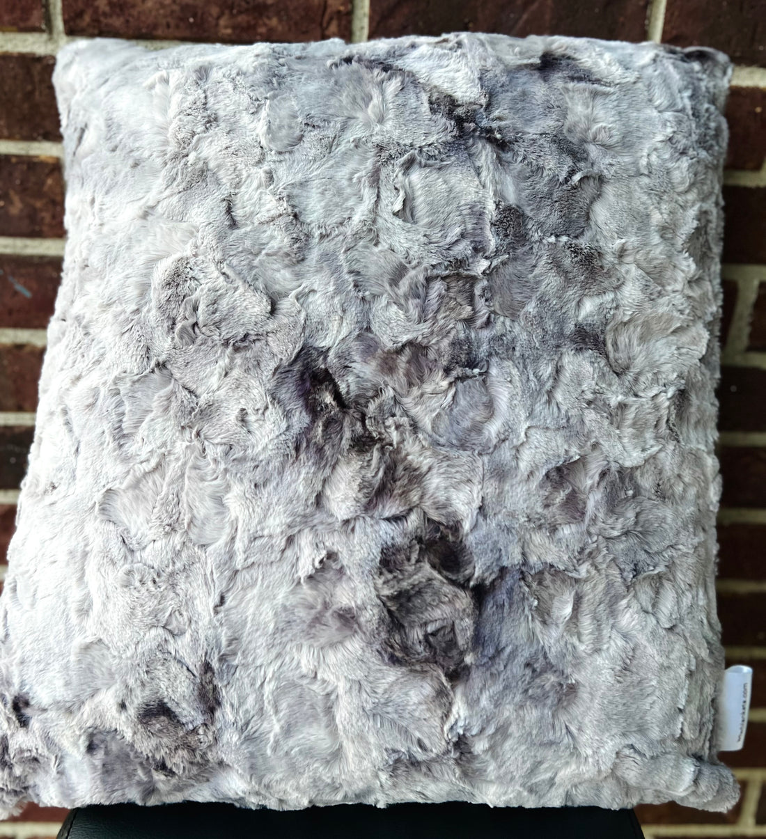 CASE pillow - with insert 20x20”