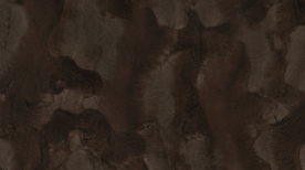 Team Roper Chocolate - Adult Luxury Minky Blanket