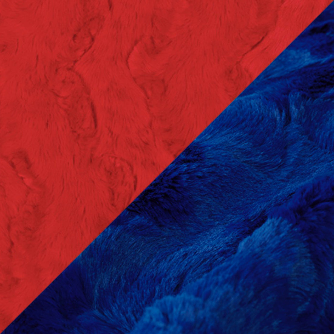 Warner Monarchs | Buff Bills - Adult Blanket -58x70" - (Made to Order)