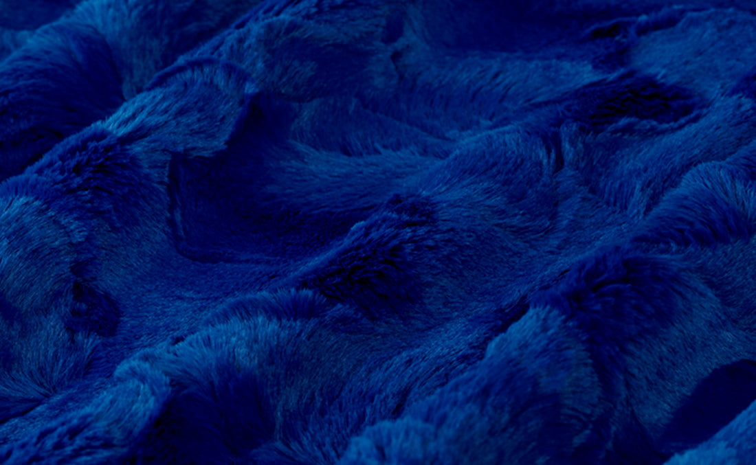 Warner Monarchs | Buff Bills - Adult Blanket -58x70" - (Made to Order)