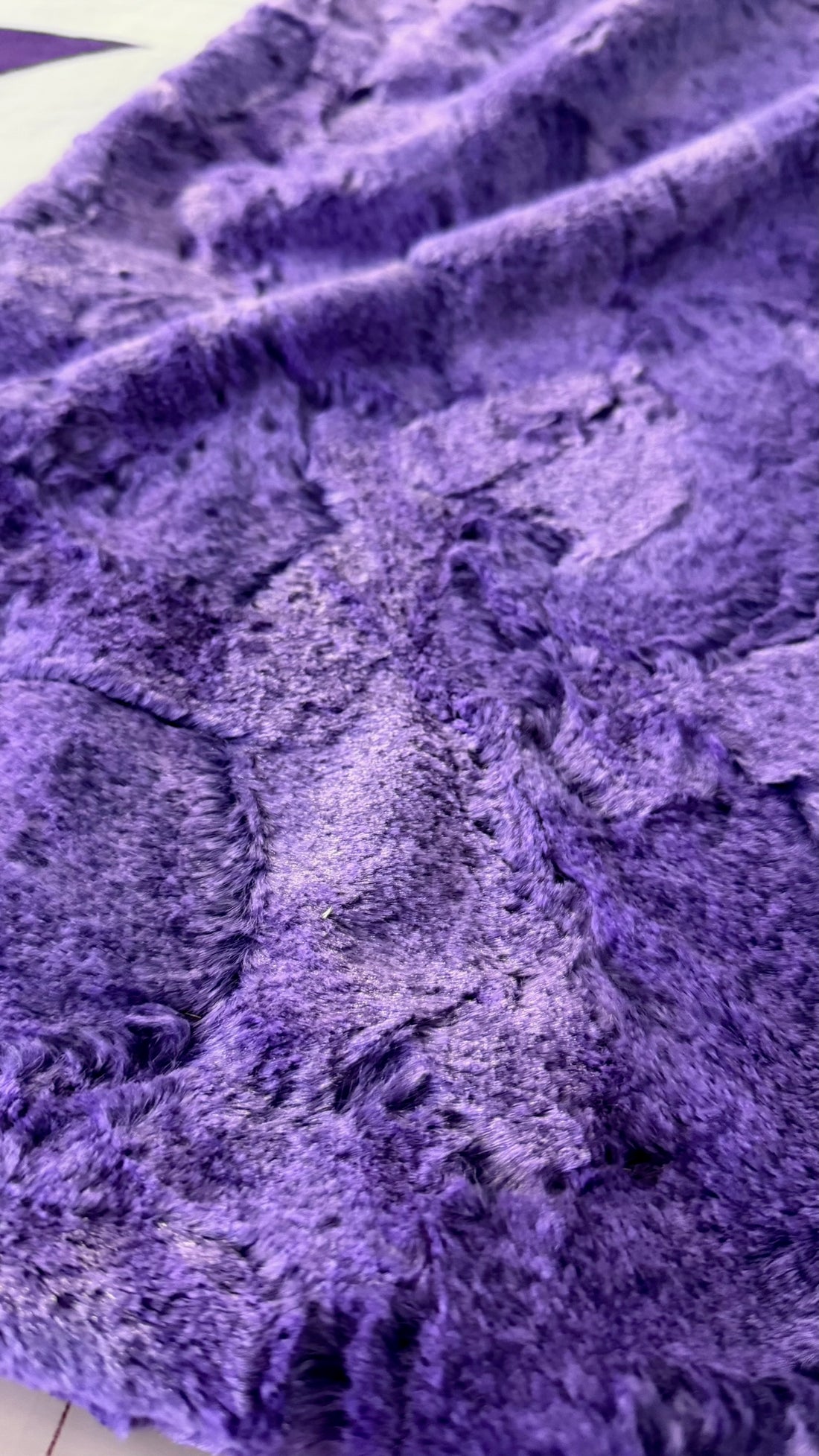 LIMITED EDITION - PRE-ORDER