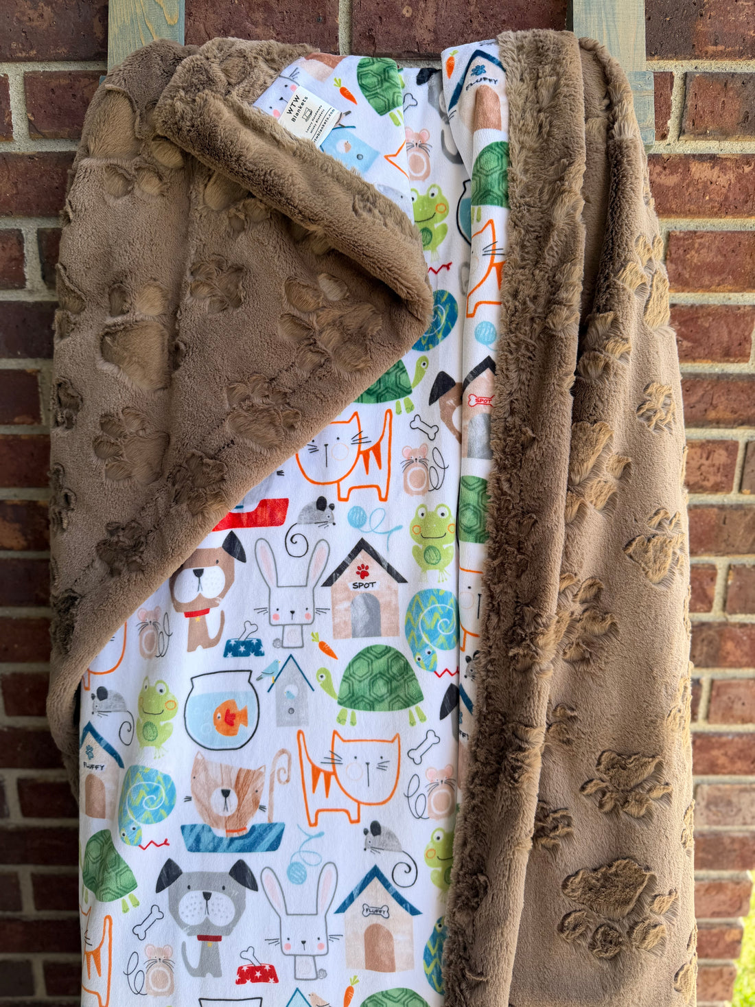 Pet Shop - Luxe Minky Blanket - INSTOCK-RTS (Choose your size & backing)