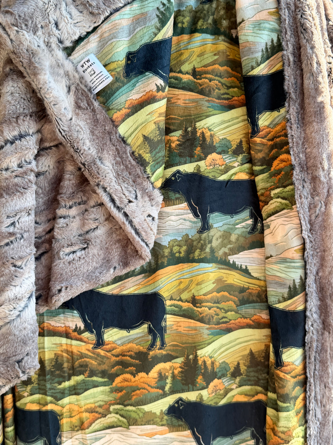 Nature Black Angus Cow - Luxury Minky Blanket - PRE-ORDER (Choose backing after ordering)