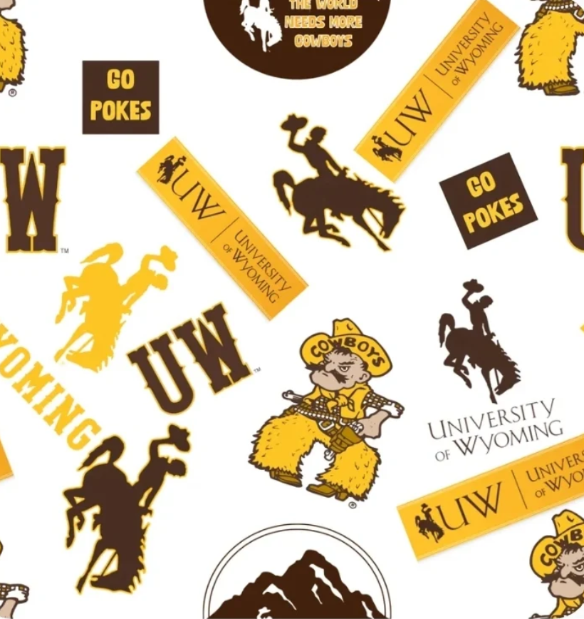 U of Wyoming - Luxury Minky Blanket (PRE-ORDER)