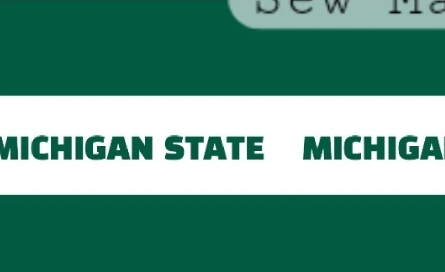 Michigan State Stripes - Luxury Minky Blanket (PRE-ORDER)