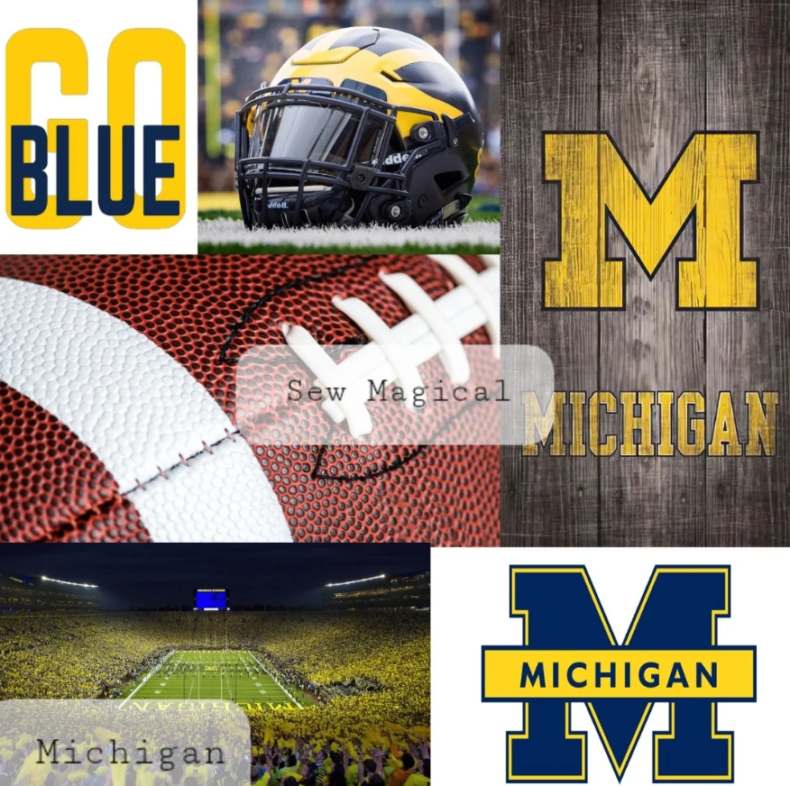 Go Blue Michigan - Luxury Minky Blanket (PRE-ORDER)