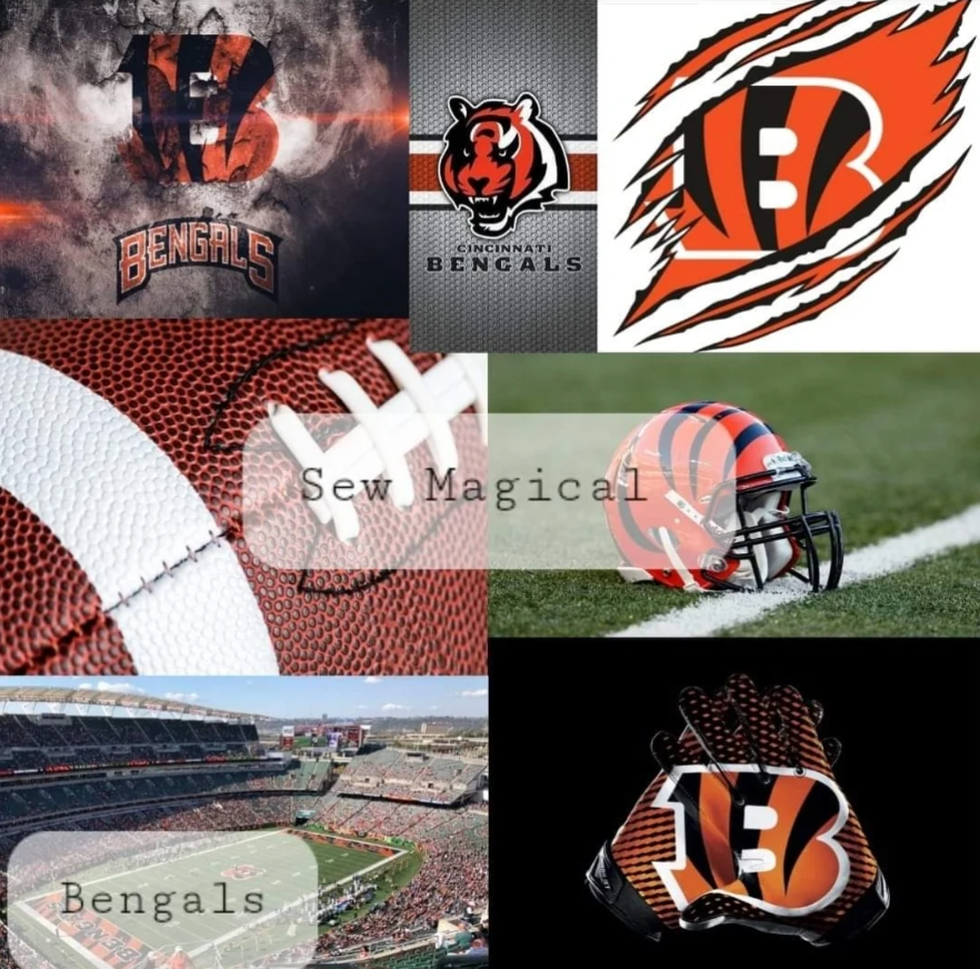 Bengals - Luxury Minky Blanket (PRE-ORDER)