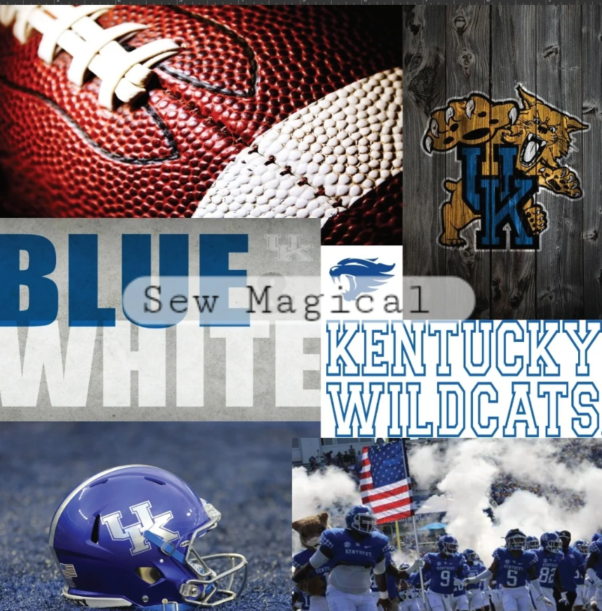 Go Wildcats Kentucky - Luxury Minky Blanket (PRE-ORDER)