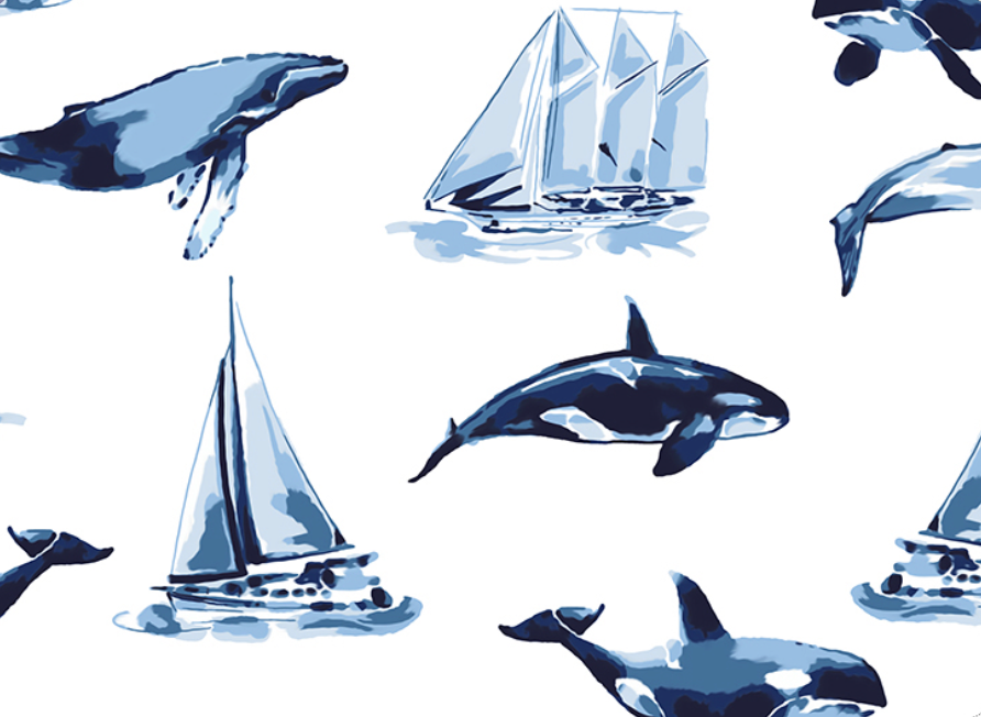 Whale Watching Luxe Minky - IN STOCK - (Made to Order)